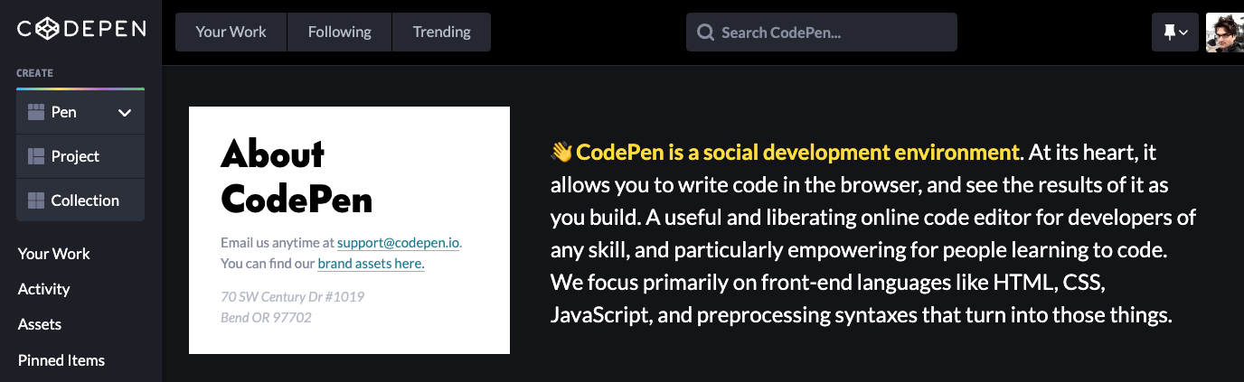 Screenshot of the Codepen about page